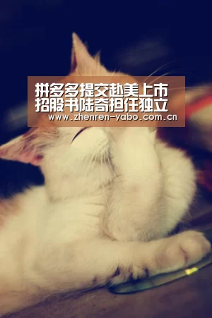 拼多多提交赴美上市招股书陆奇担任独立董事兼薪酬委员会主席【亚博app】(图2) 亚博官网